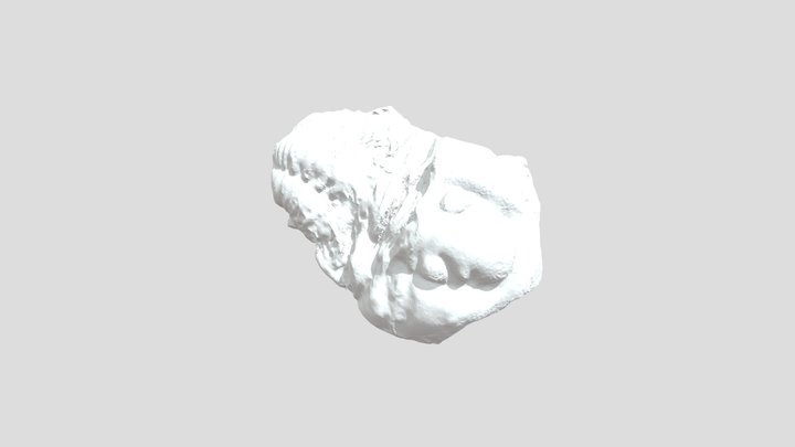 三葉虫化石 3D Model