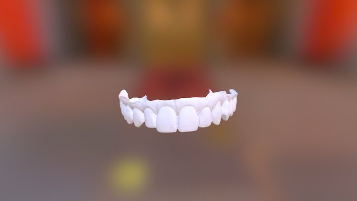 Ruval Upper Jaw 3D Model