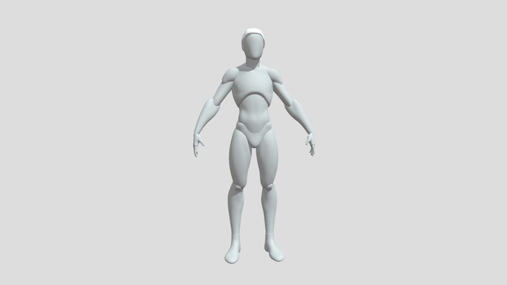 begginer 3D Model