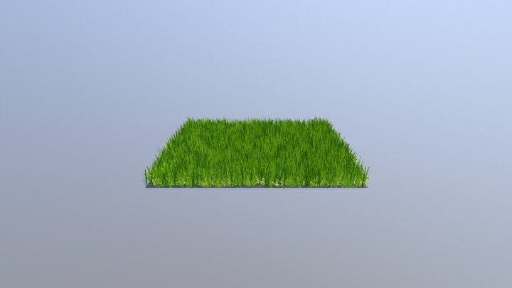 JW Synthetic Grass - Springtime 94 3D Model