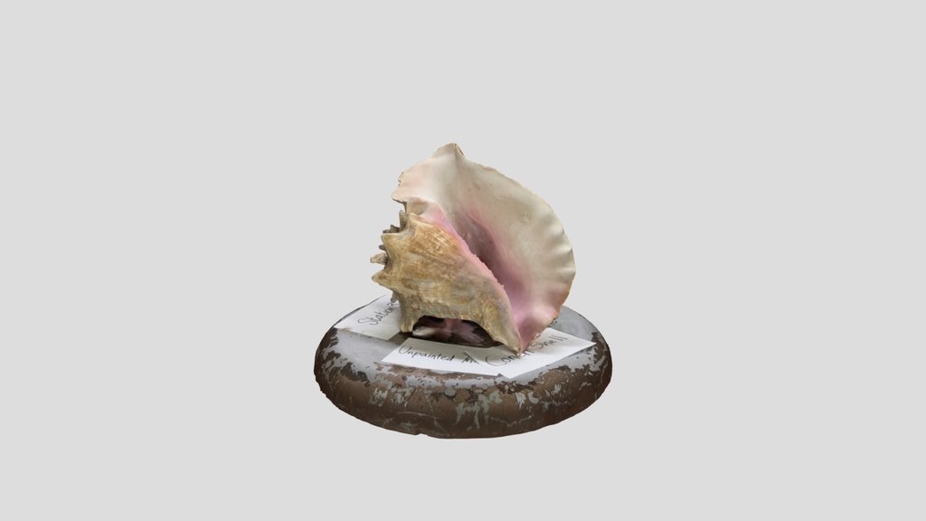 3DExercise#10 - Conch