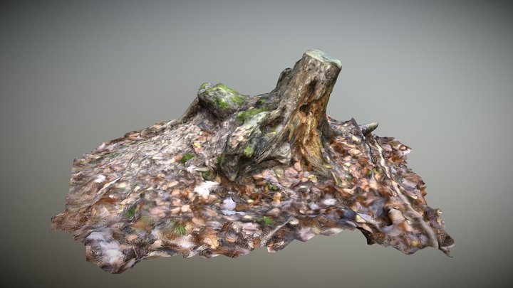 Tree Stump 3D Model