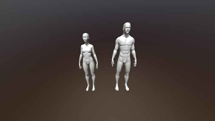 Free Sample - Male& Female COLLADA 3D Model