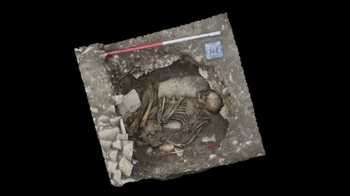 Iron Age Burial, near Langport, Somerset 3D Model