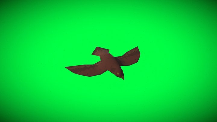 Bird Flying Animation 3D Model