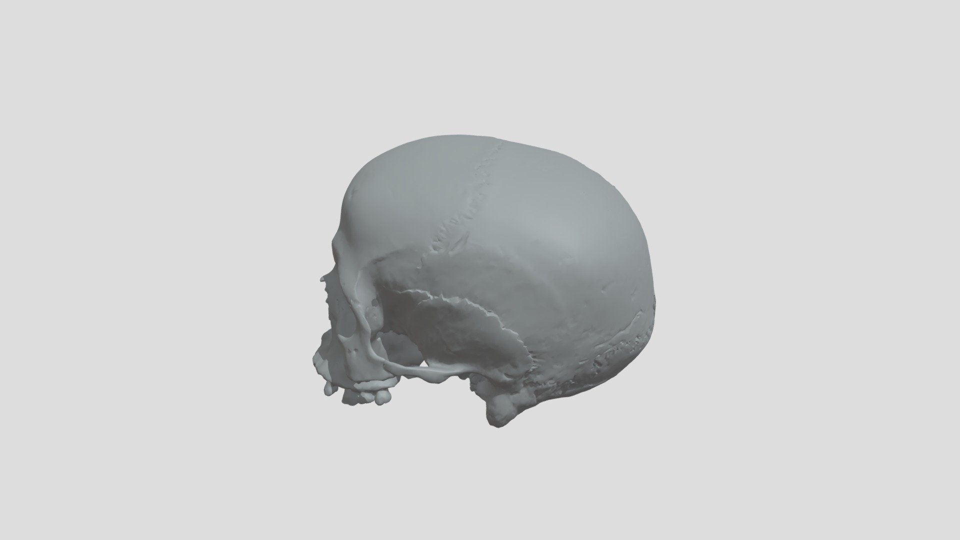 Print version, skull/kranium, stenålderskvinna - Download Free 3D model ...