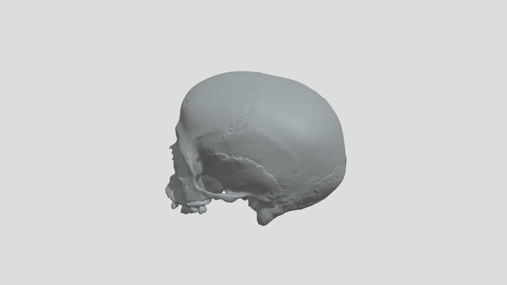 Print version, skull/kranium, stenålderskvinna 3D Model