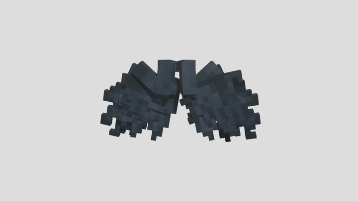 Black Wings - Wings Mod 3D Model