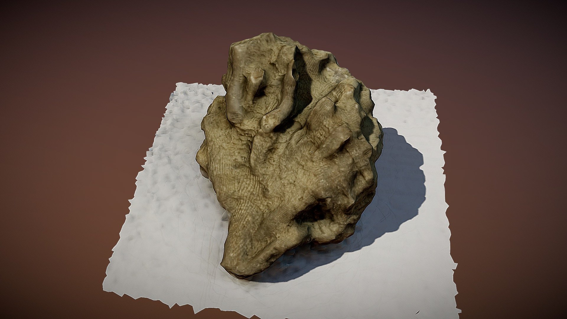 Colonial coral