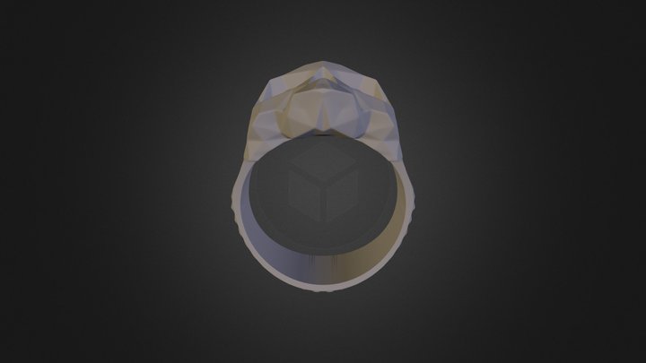 Polygonal Skull Ring Bynachoriesco T20 3D Model