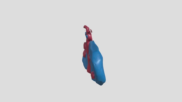 butterfree – Kostenloses 3D-Modell STL