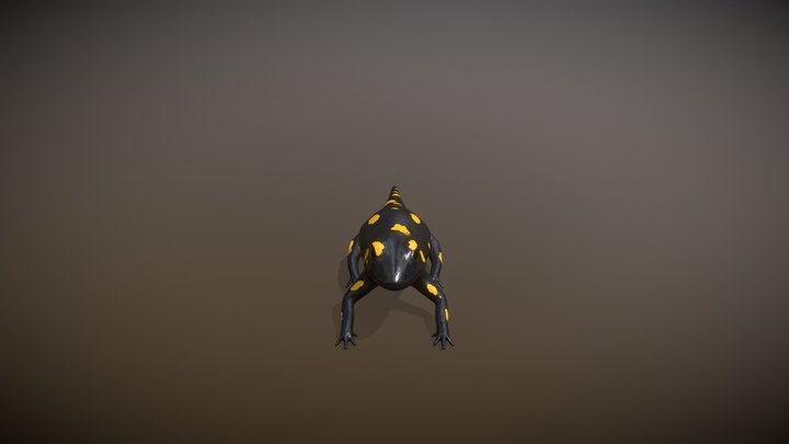 Salamandra 3D Model