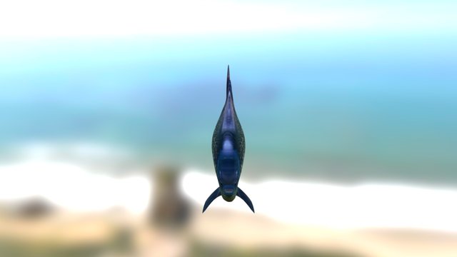 Fish 3D Model