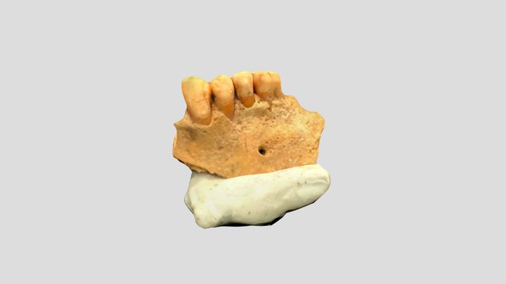 New Qlone 3D Model