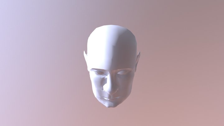 College Midterm - Putin's head 3D Model
