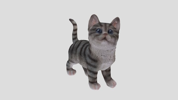 Cat ornament