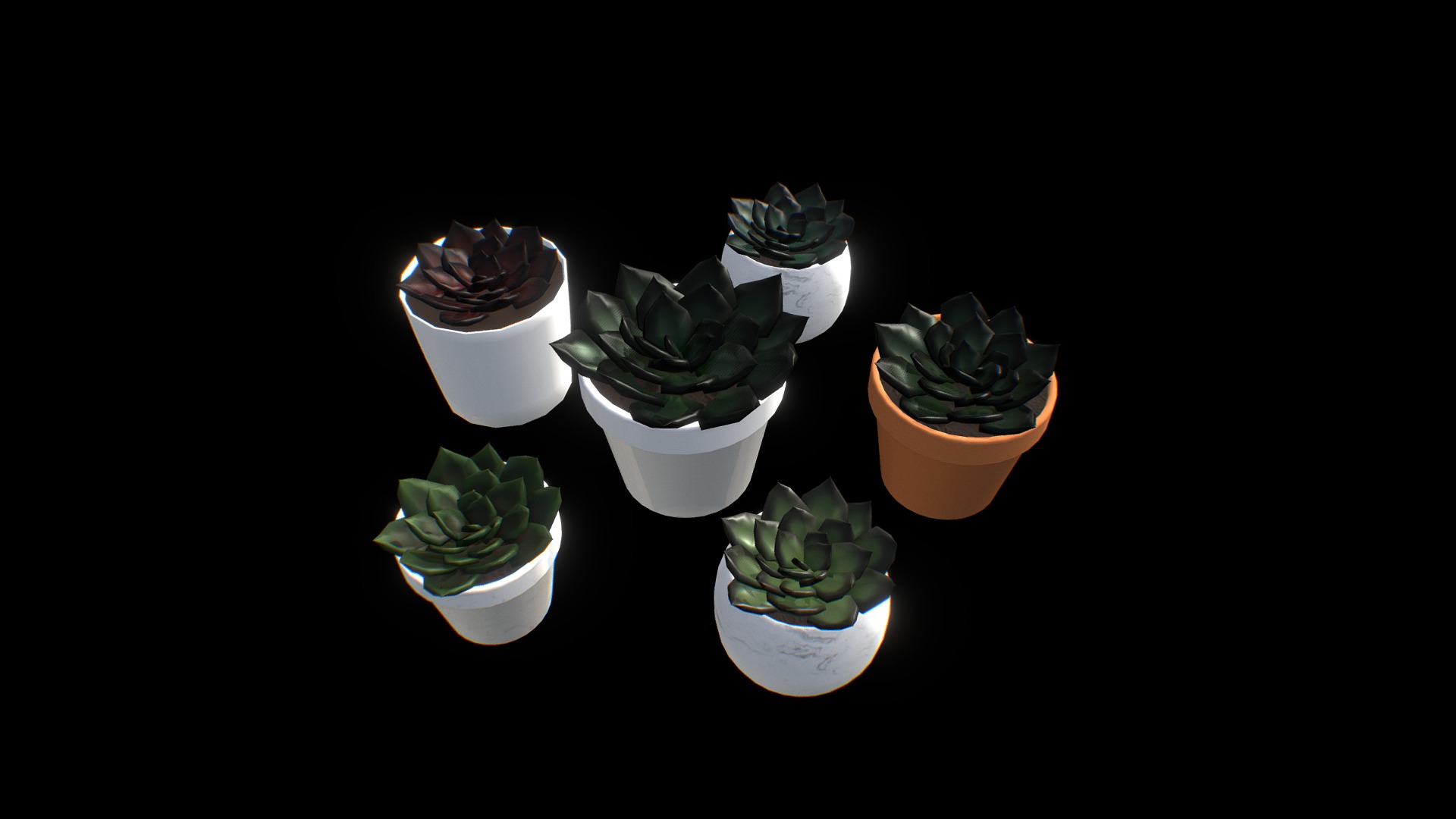 3D model Succulent Echeveria Plant Pack - This is a 3D model of the Succulent Echeveria Plant Pack. The 3D model is about a group of potted plants.