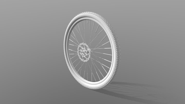 Bicycle Wheel scanned with the Einstar Rockit 3D Model