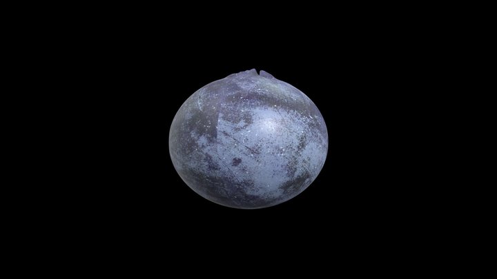 blueberry 3D Model