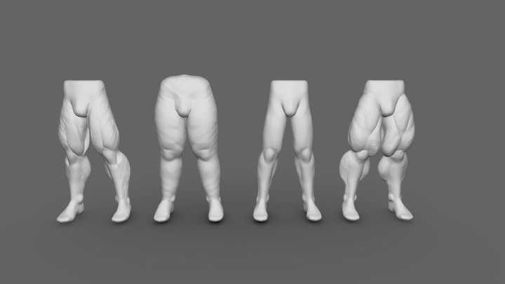 legs anatomy 3D Model