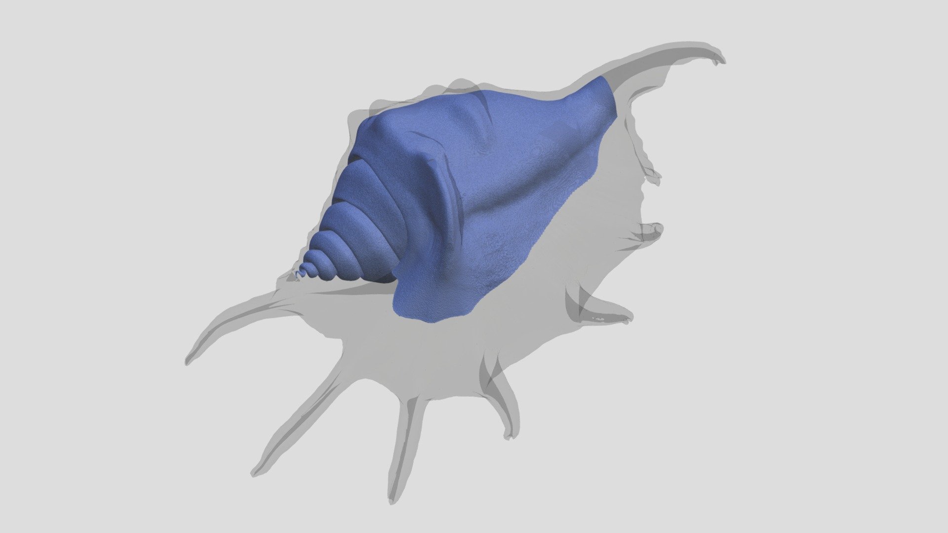 Lambis Lambis (DMNS:Inv:23973) - 3D Model By Biodiversity [6204a85 ...