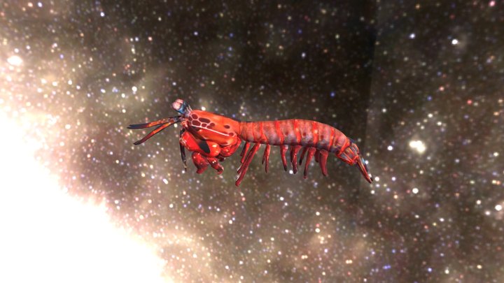 505 14 3D Model