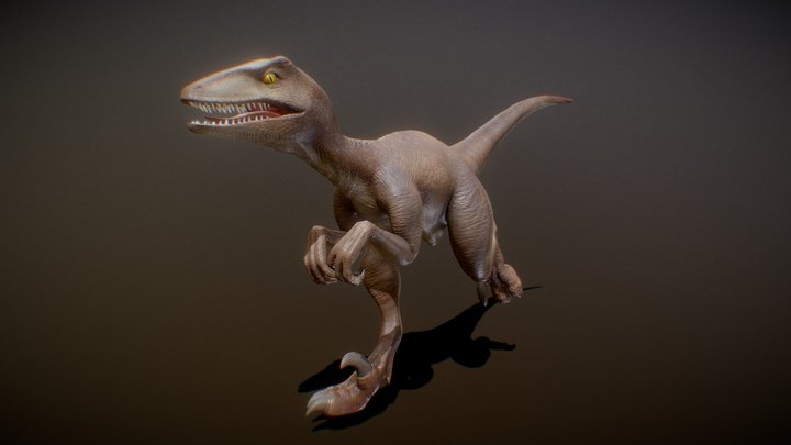 Velociraptor – Modelo 3D gratuito STL