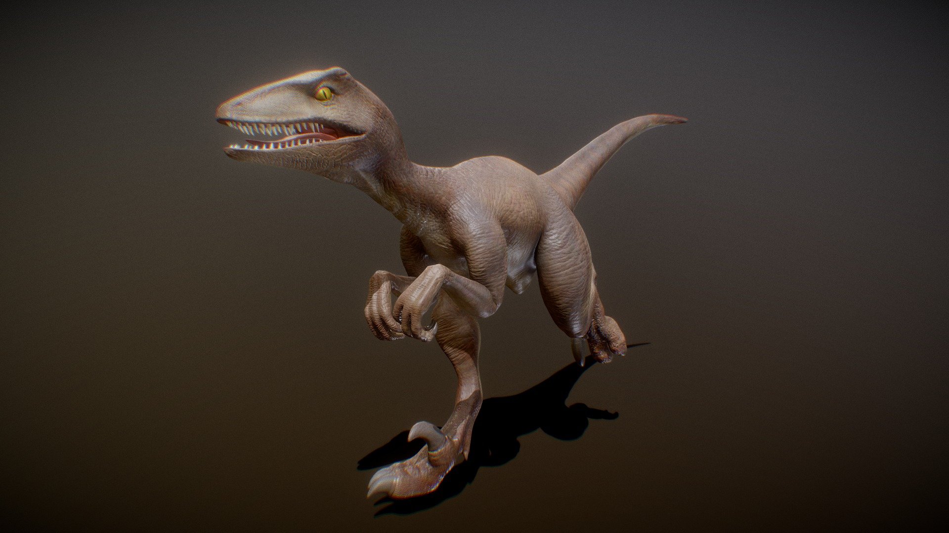 Velociraptor - Download Free 3D model by DailyArt (@D.art) [6204e7a