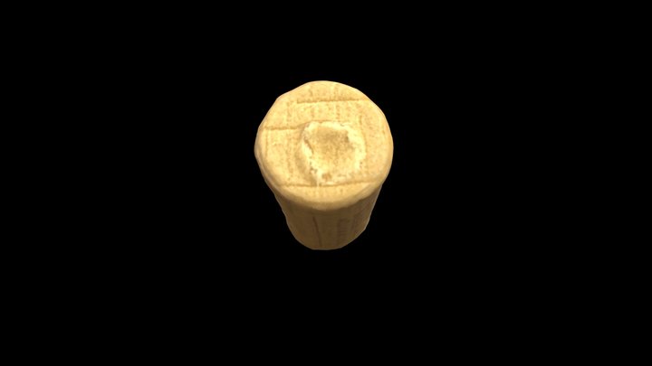 Cork 3D Model