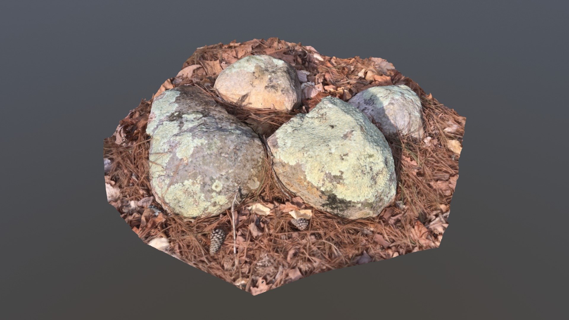Forest Rocks - Point Cloud
