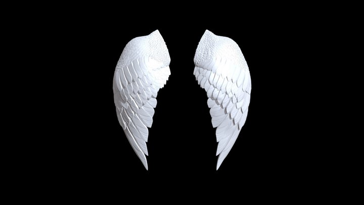 wings 3D Model