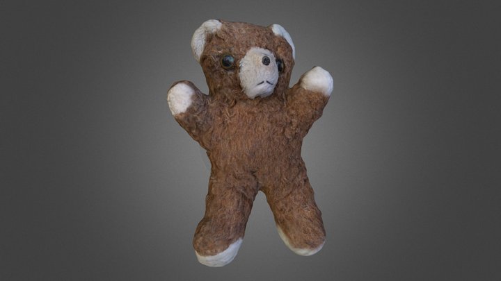 Bear02-G-Reprojected 3D Model