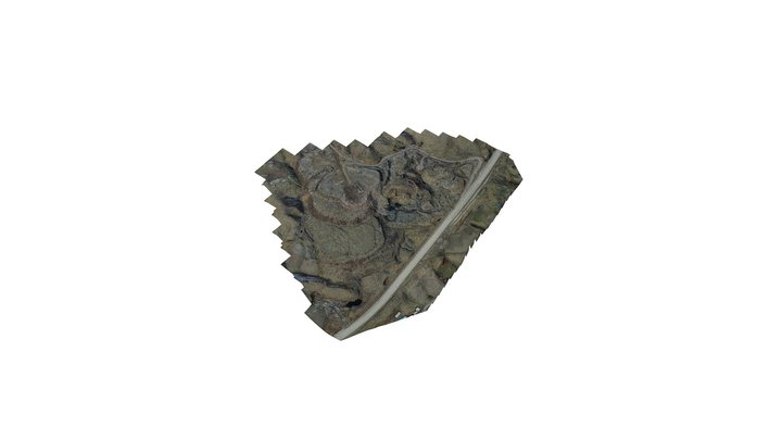 Rt_001_Vn2_Mesh 3D Model