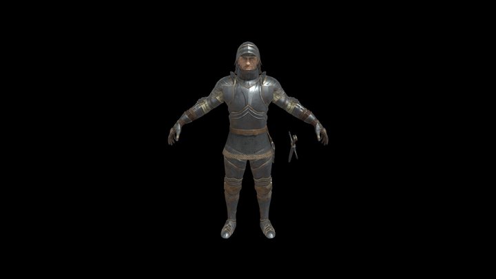 Gothic Knight 3D Model