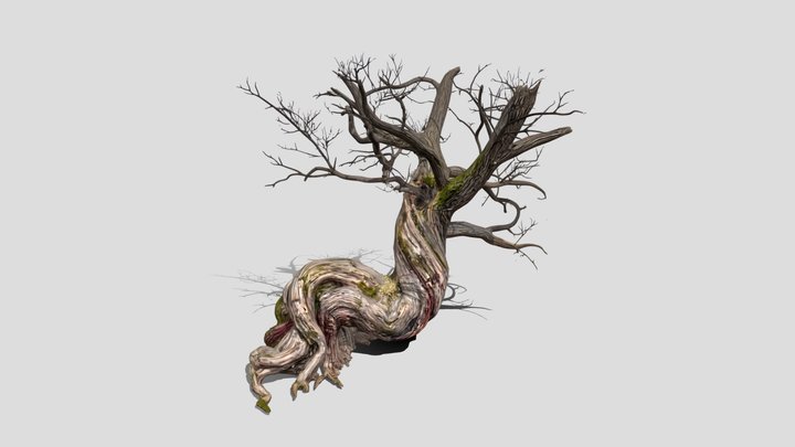 Driftwood tree 2 3d model free – Kostenloses 3D-Modell STL