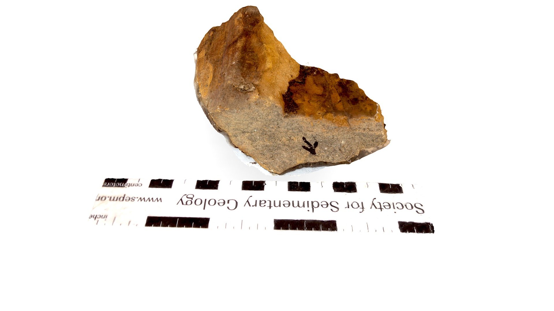 Oak Park Sample 1-1