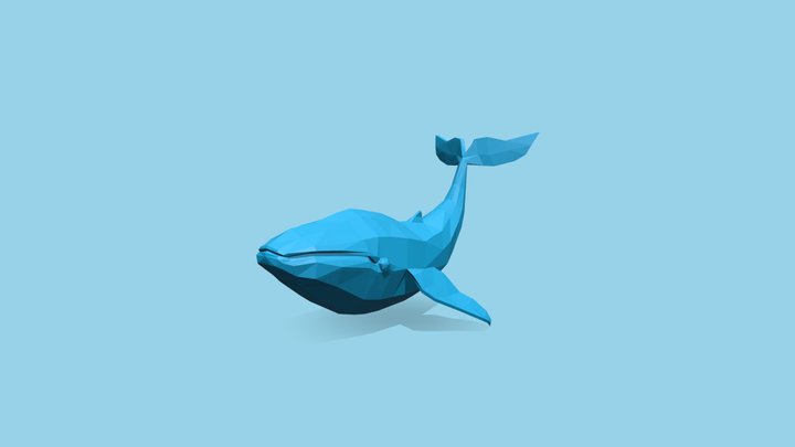 Whale Low Poly 3D Model