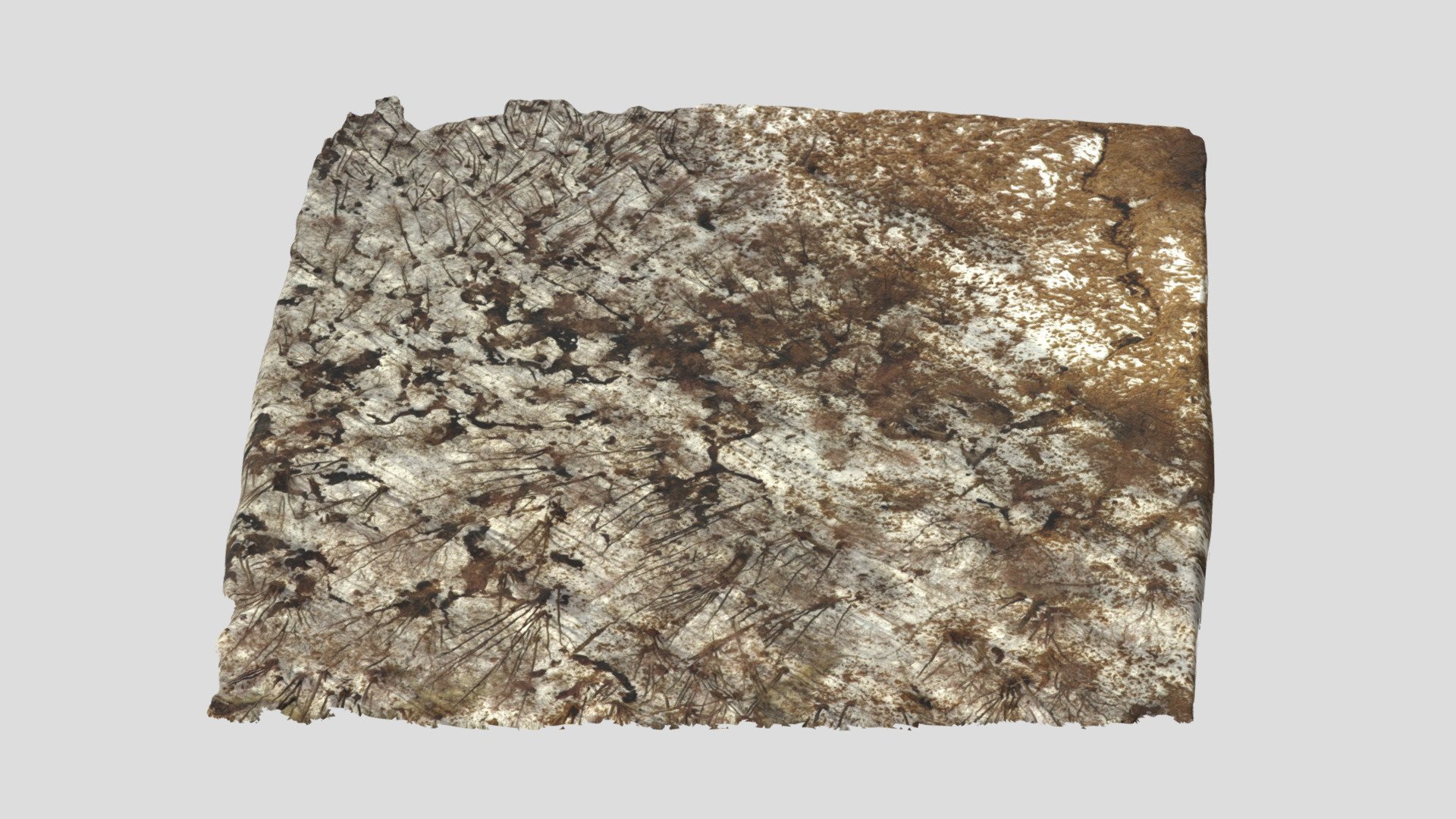 my OpenDroneMap test 2022 01