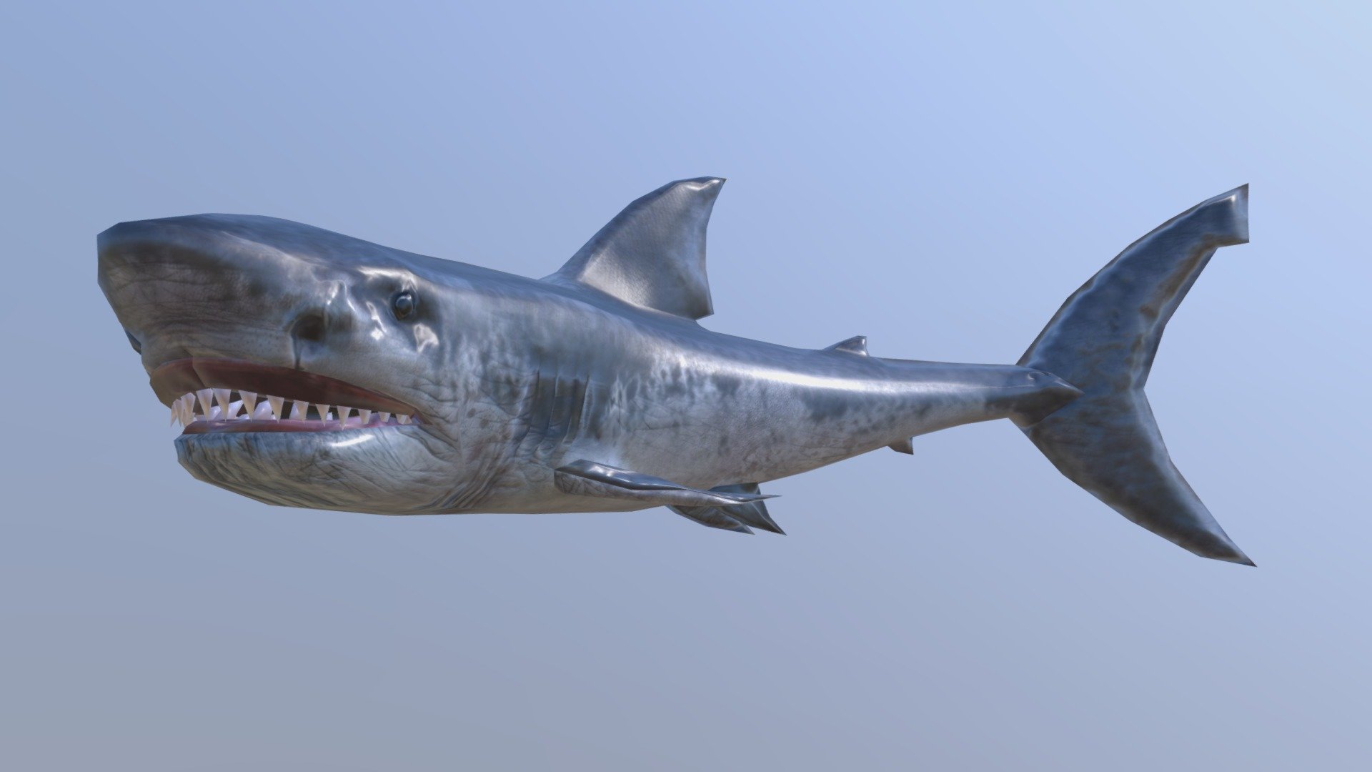 Shark - Download Free 3D Model By Dandi (@dandi) [6217ed2] - Sketchfab