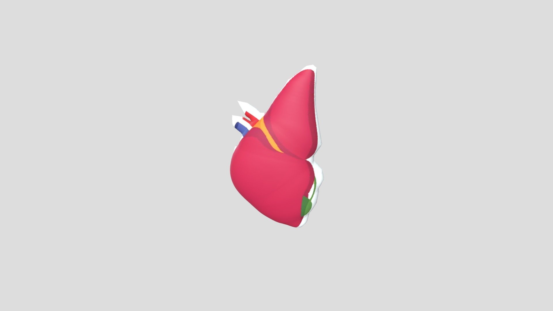 Heart