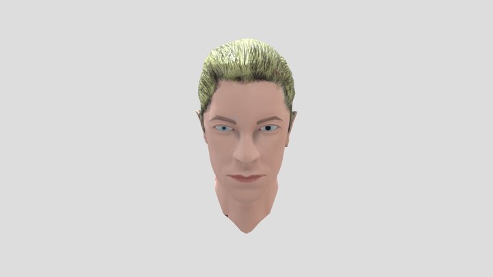David Bowie Bust Sculpt 3D Model