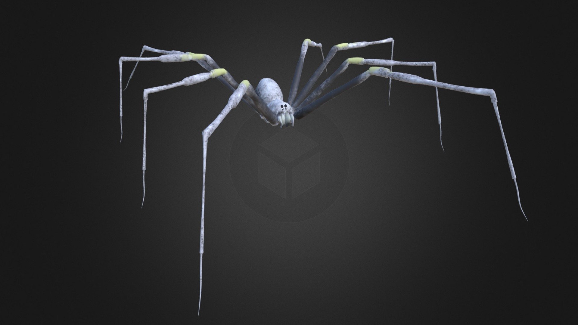 Infected Spider