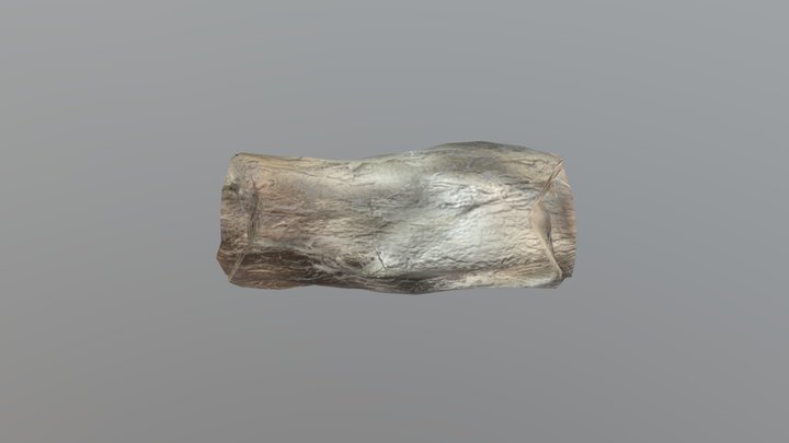 Trunk 3D Model