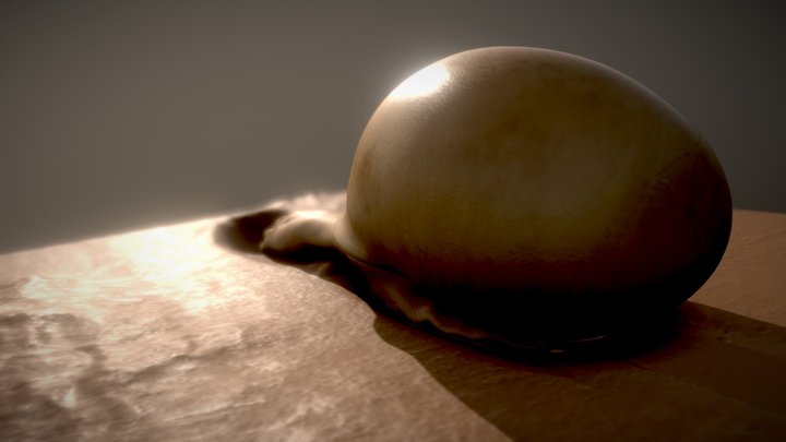 BioCAD : Snail 3D Model