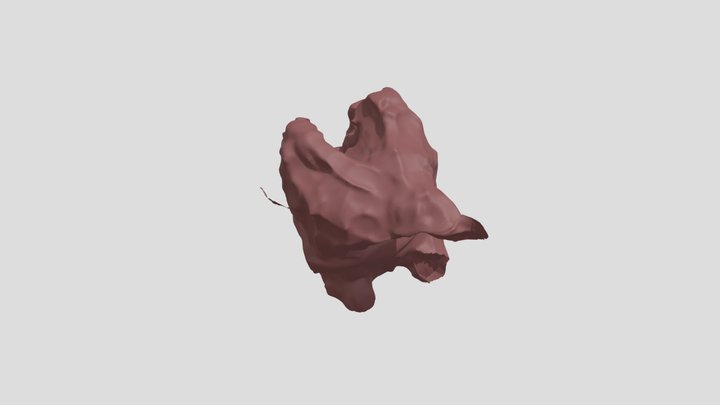 Cat 3D Model