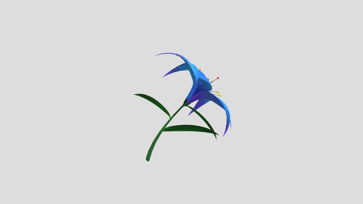 Lily 3D Model