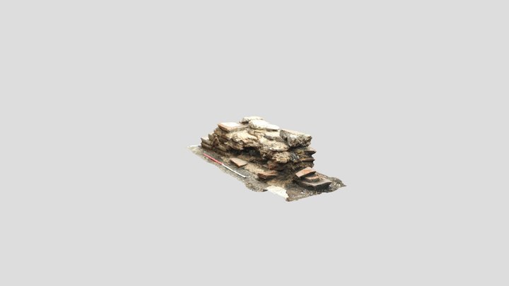 Photogrammetry Test Silchester 3D Model