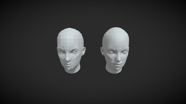 Female Heads Low-poly 3D Model 3D Model