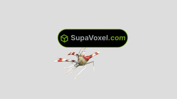 Banded Coral Shrimp - 3D AI Studio vs SupaVoxel