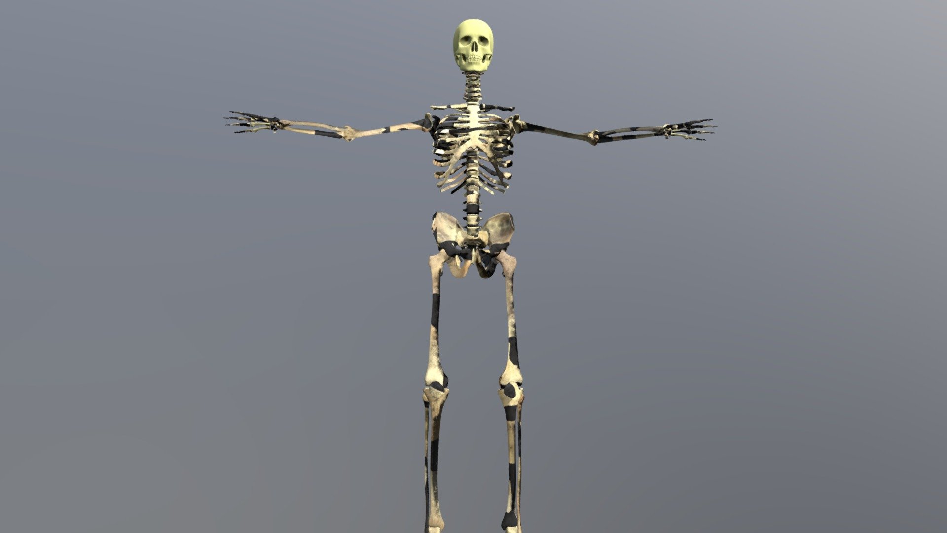 Esqueleto FBX